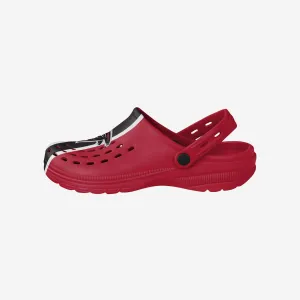 Atlanta Falcons Team Stripe Clog With Strap