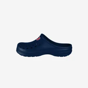 Boston Red Sox Womens Solid Clog