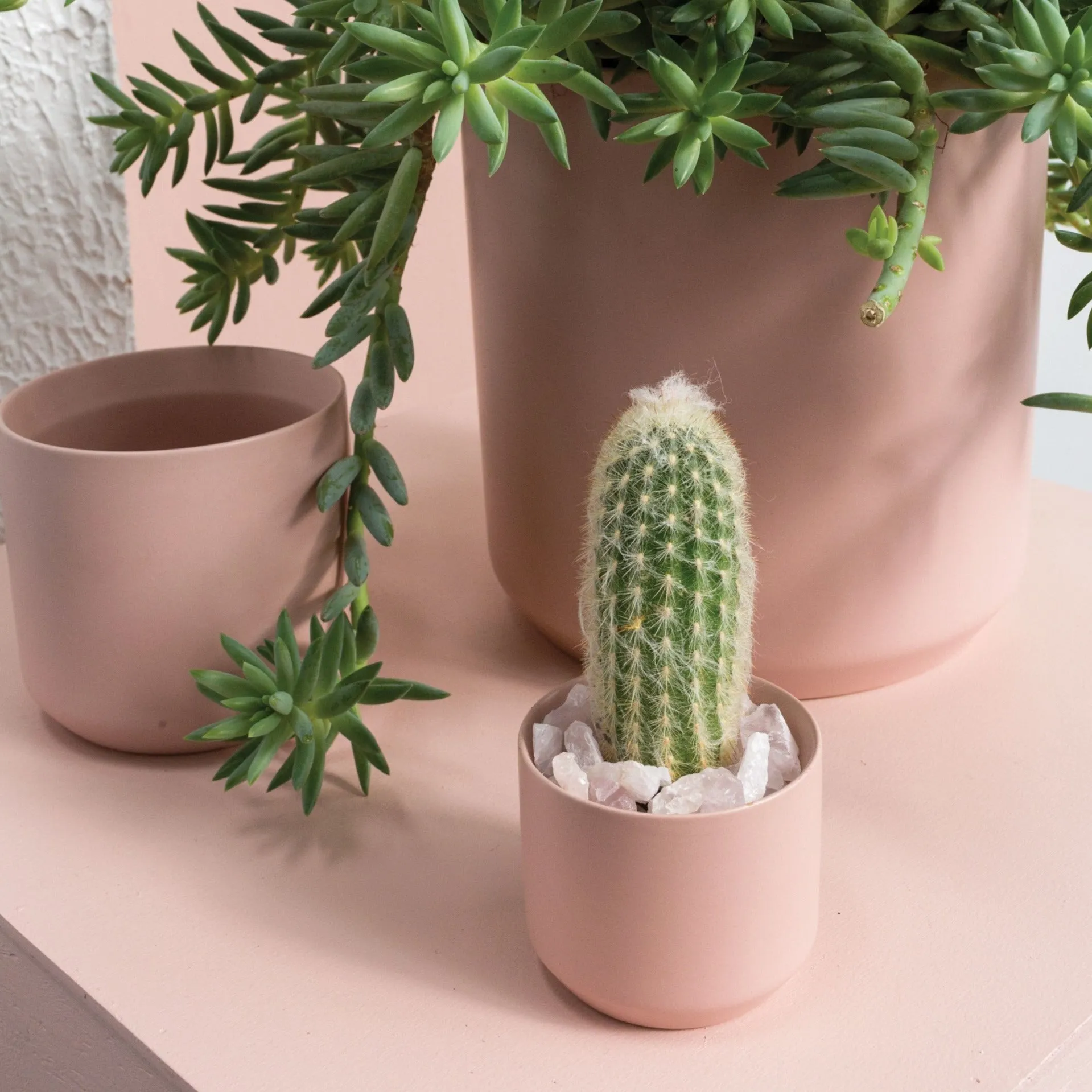 KENDALL BLUSH POT