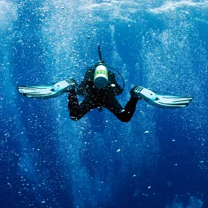 SSI Scuba Diver