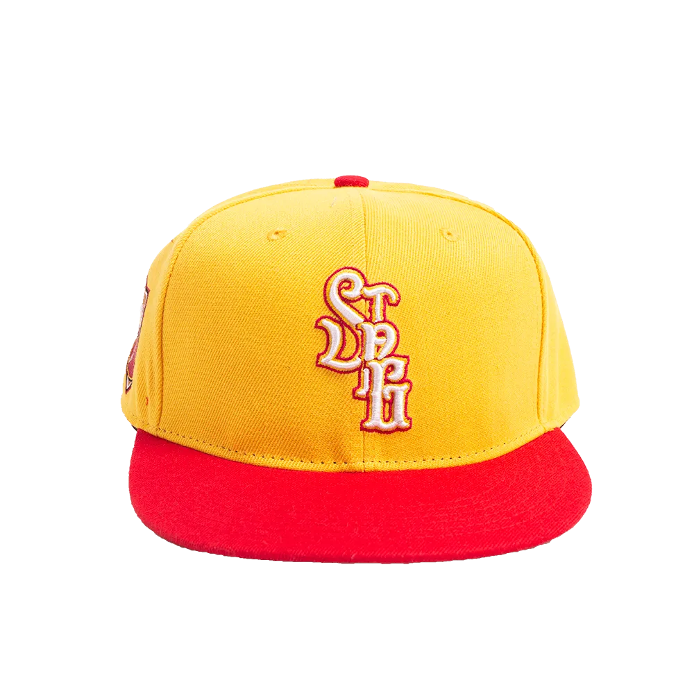 ST PAUL GOPHERS FITTED HAT